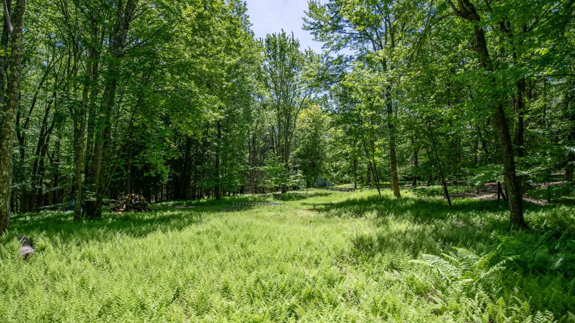 Property at 0 McCulley Heights Rd, Davenport, NY 13750 2