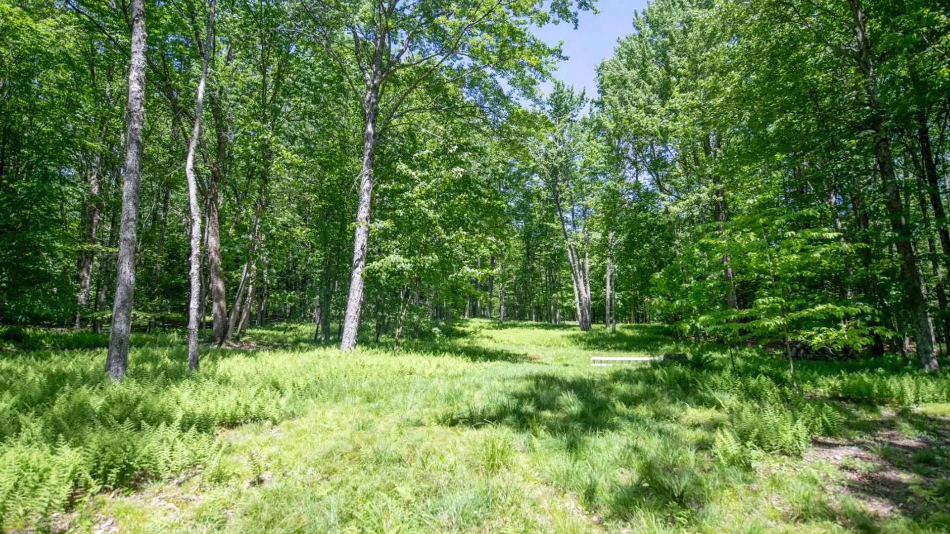 Property at 0 McCulley Heights Rd, Davenport, NY 13750 5