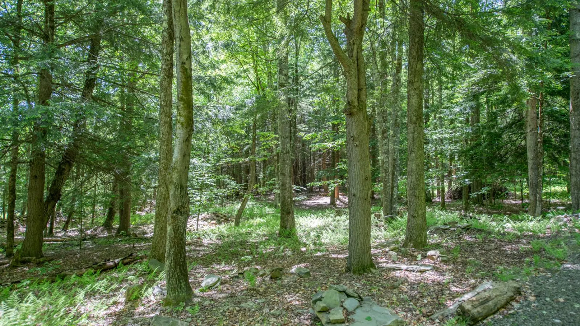 Property at 0 McCulley Heights Rd, Davenport, NY 13750 8