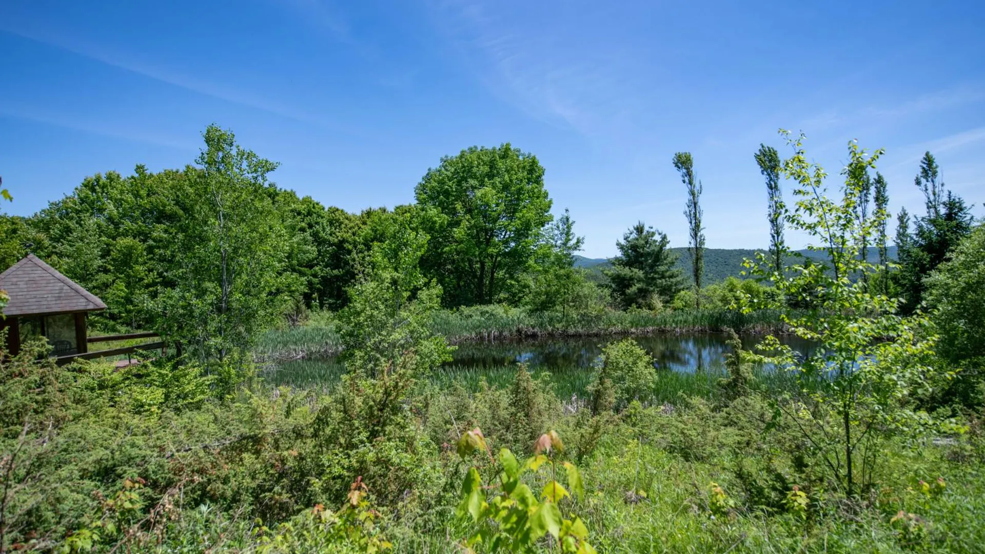 Property at 1718 Doe Brook Rd, Hamden, NY 13782 2