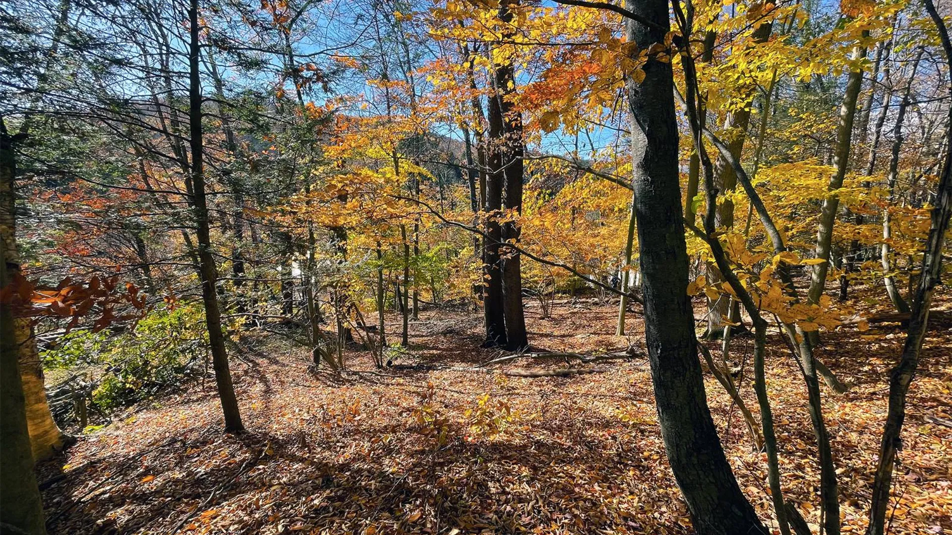 Property at # Overlook Rd, Woodbourne, NY 12788 5