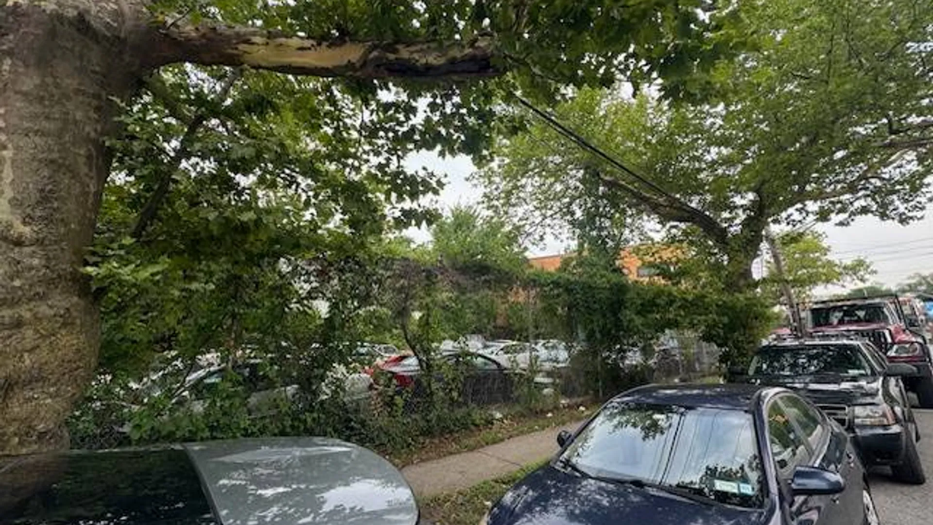 Property at 1406 Richmond Ave, Staten Island, NY 10314 2