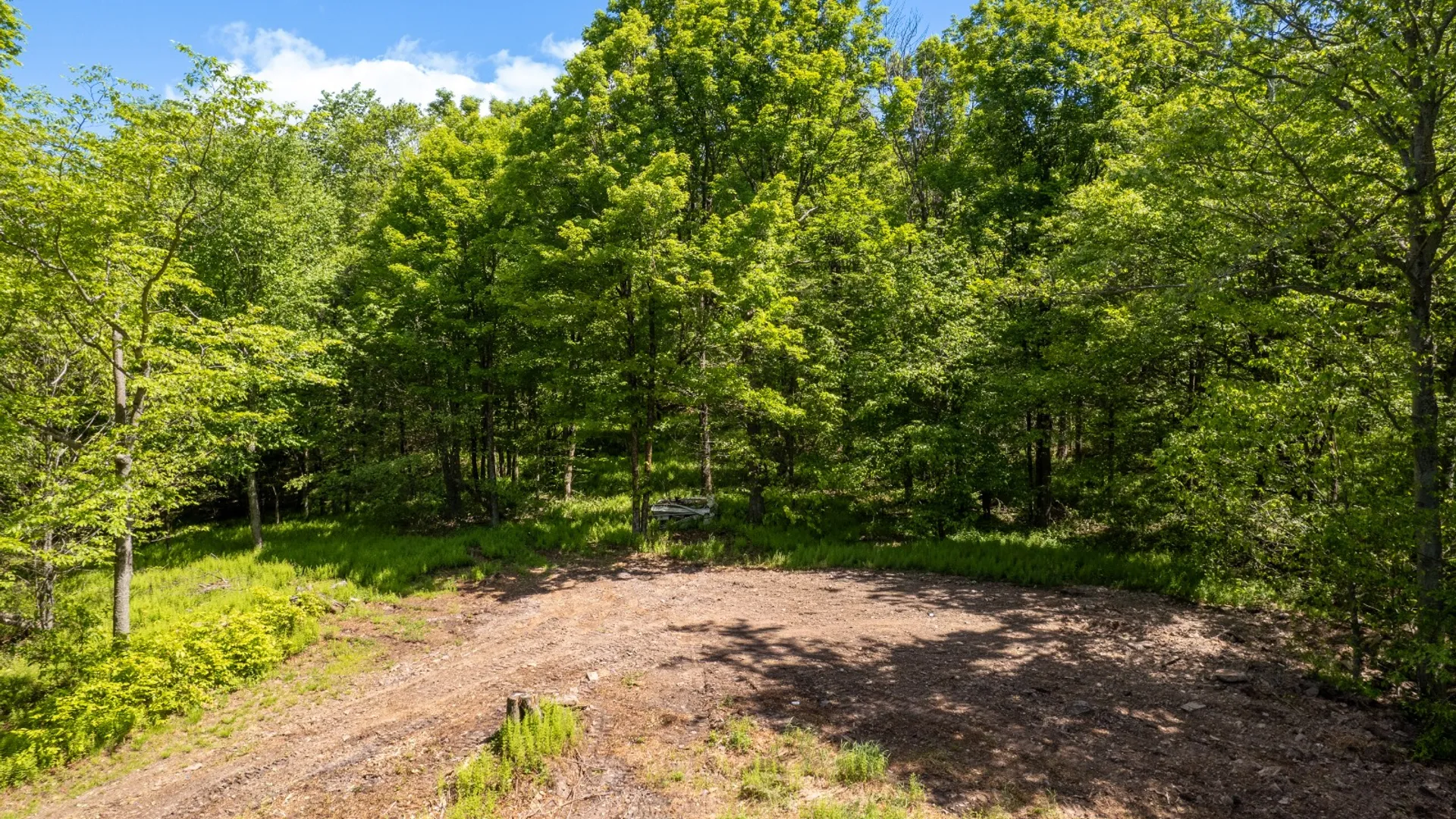 Property at 0 Buckview Drive, Hancock, NY 13783 10