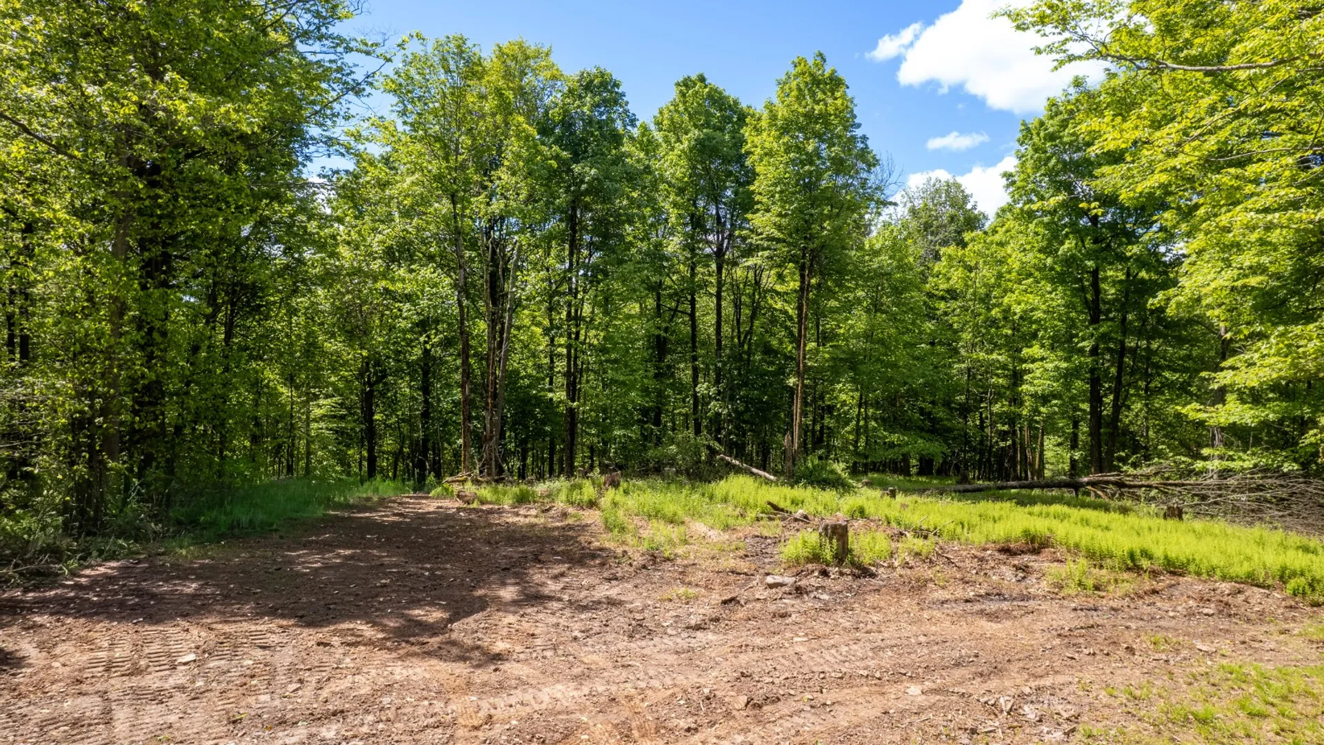 Property at 0 Buckview Drive, Hancock, NY 13783 11