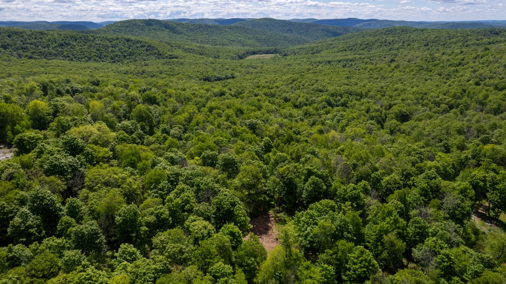 Property at 0 Buckview Drive, Hancock, NY 13783 13
