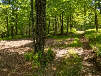 Property at 0 Buckview Drive, Hancock, NY 13783