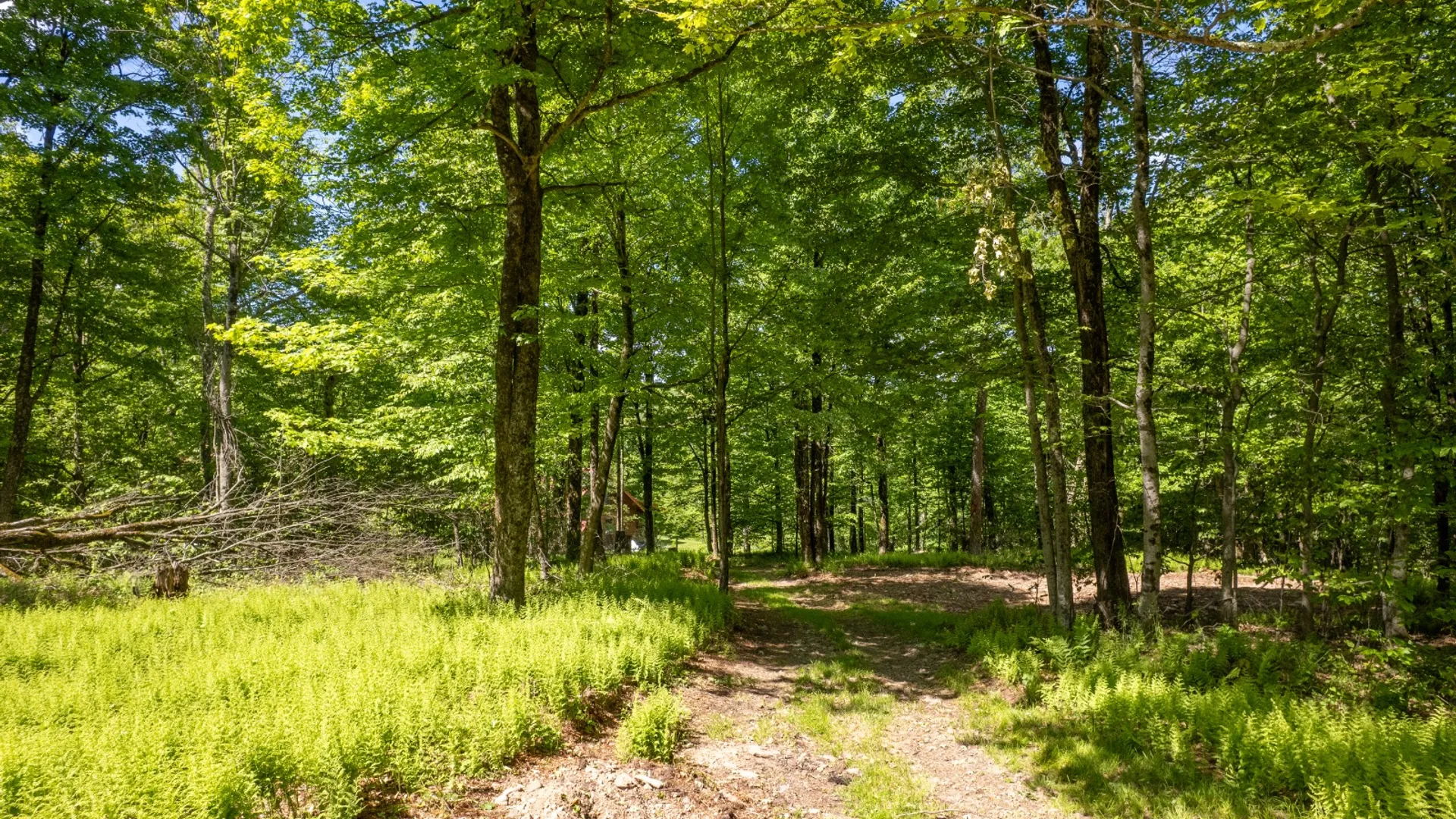 Property at 0 Buckview Drive, Hancock, NY 13783 2