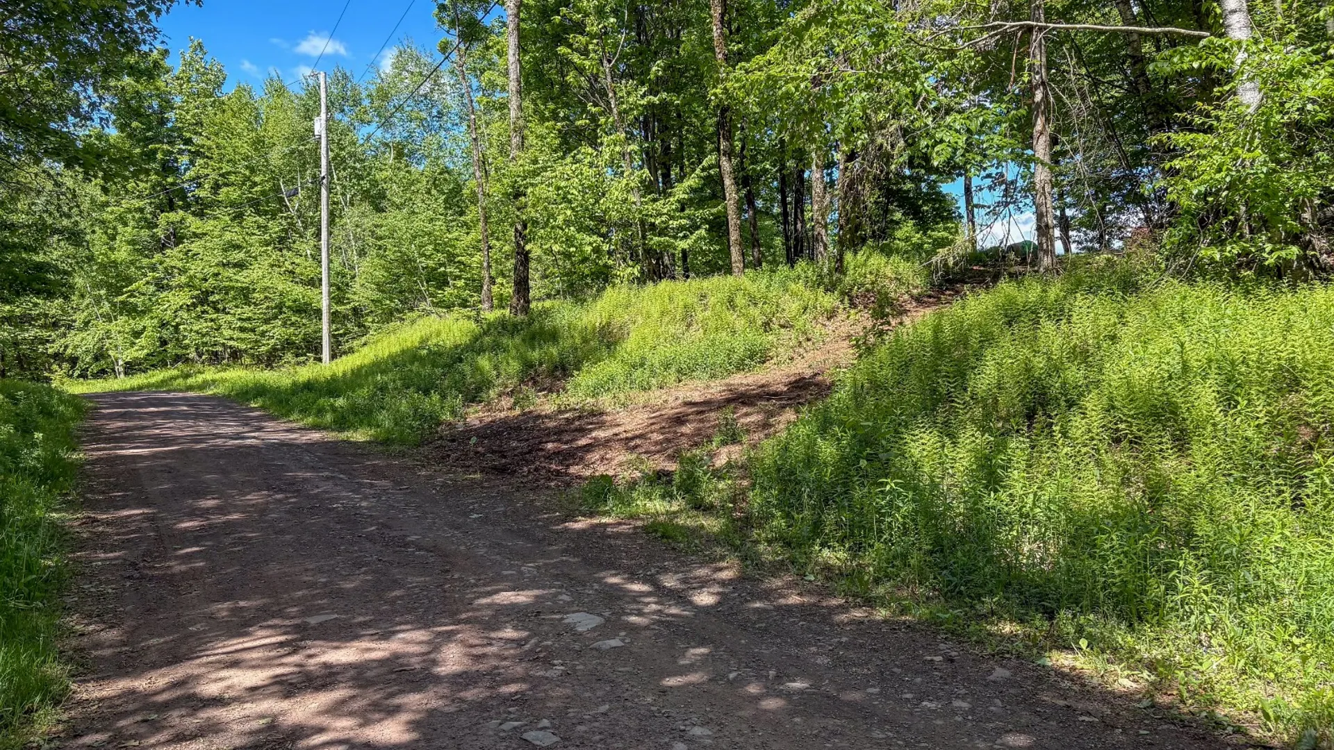 Property at 0 Buckview Drive, Hancock, NY 13783 3
