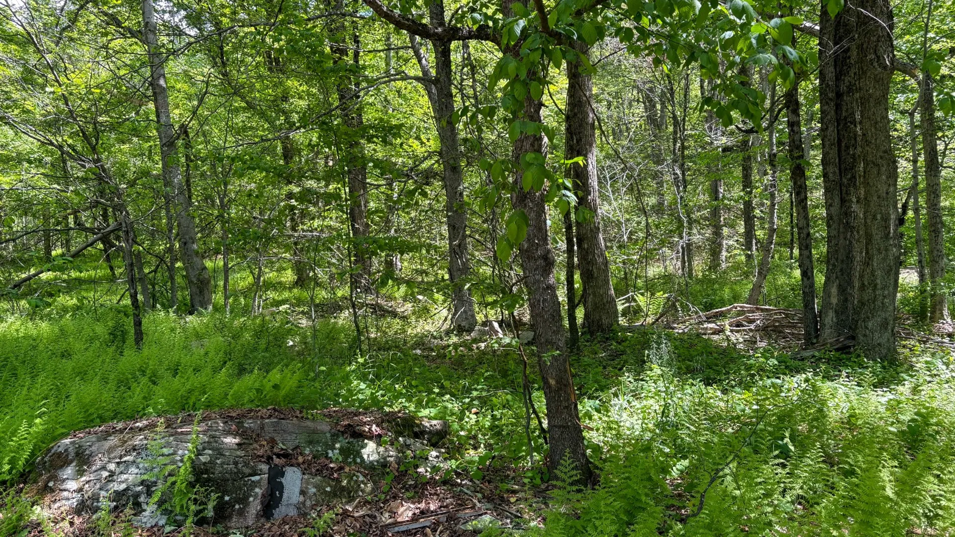 Property at 0 Buckview Drive, Hancock, NY 13783 4