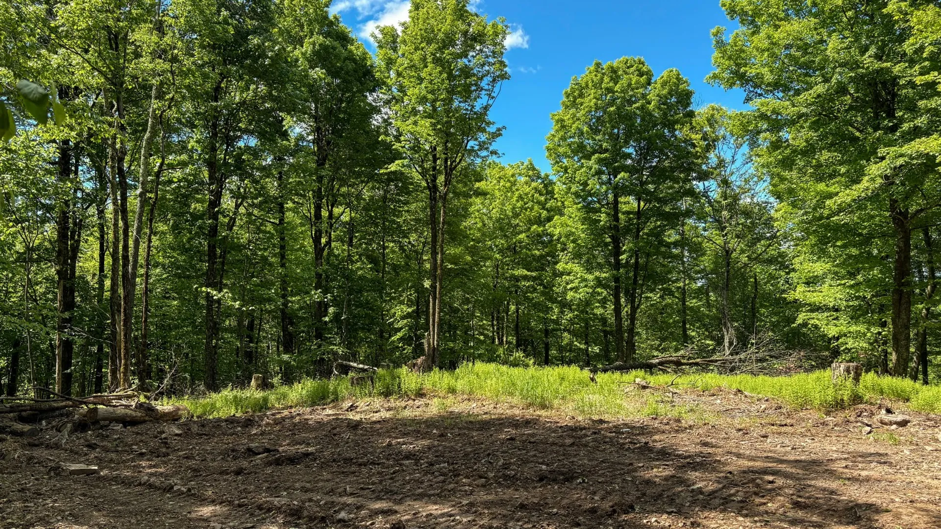 Property at 0 Buckview Drive, Hancock, NY 13783 5