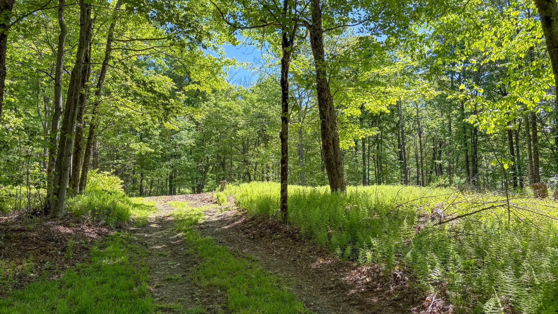 Property at 0 Buckview Drive, Hancock, NY 13783 8