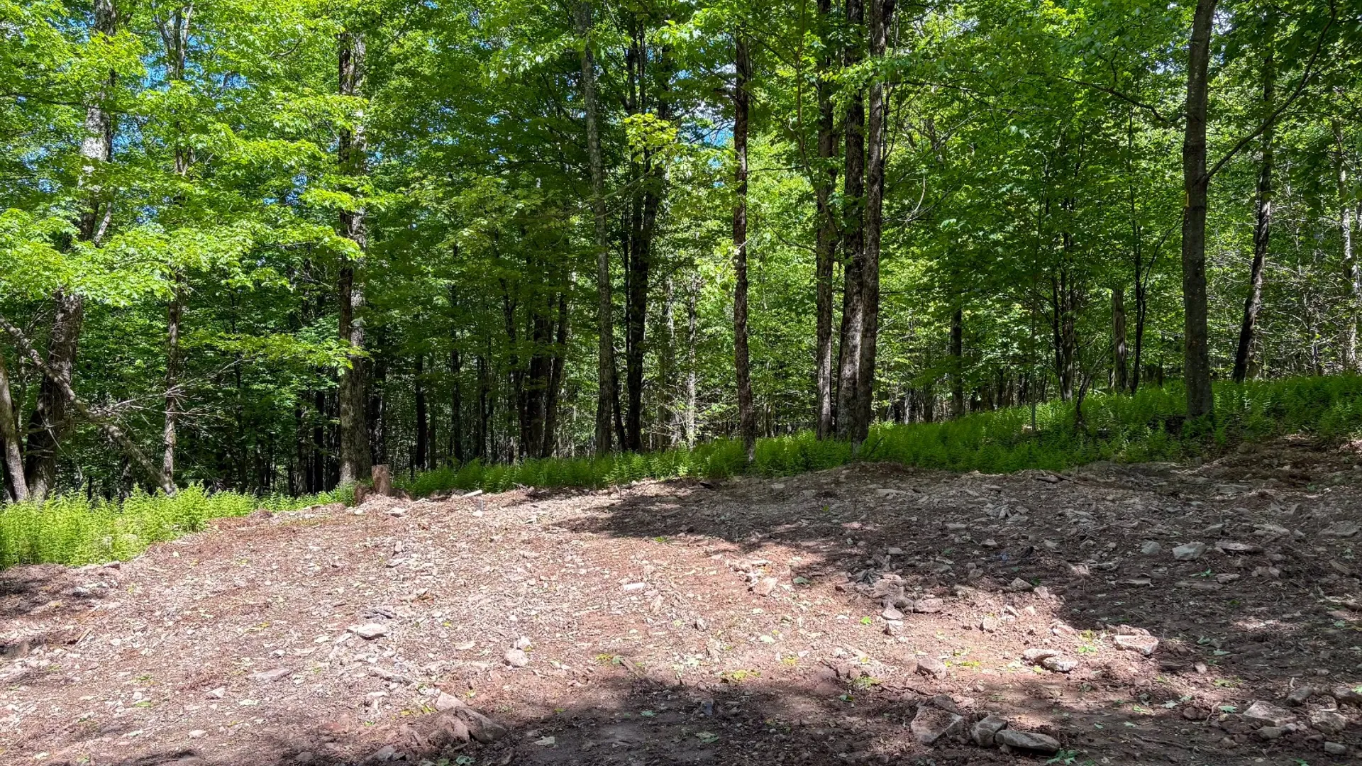 Property at 0 Buckview Drive, Hancock, NY 13783 9