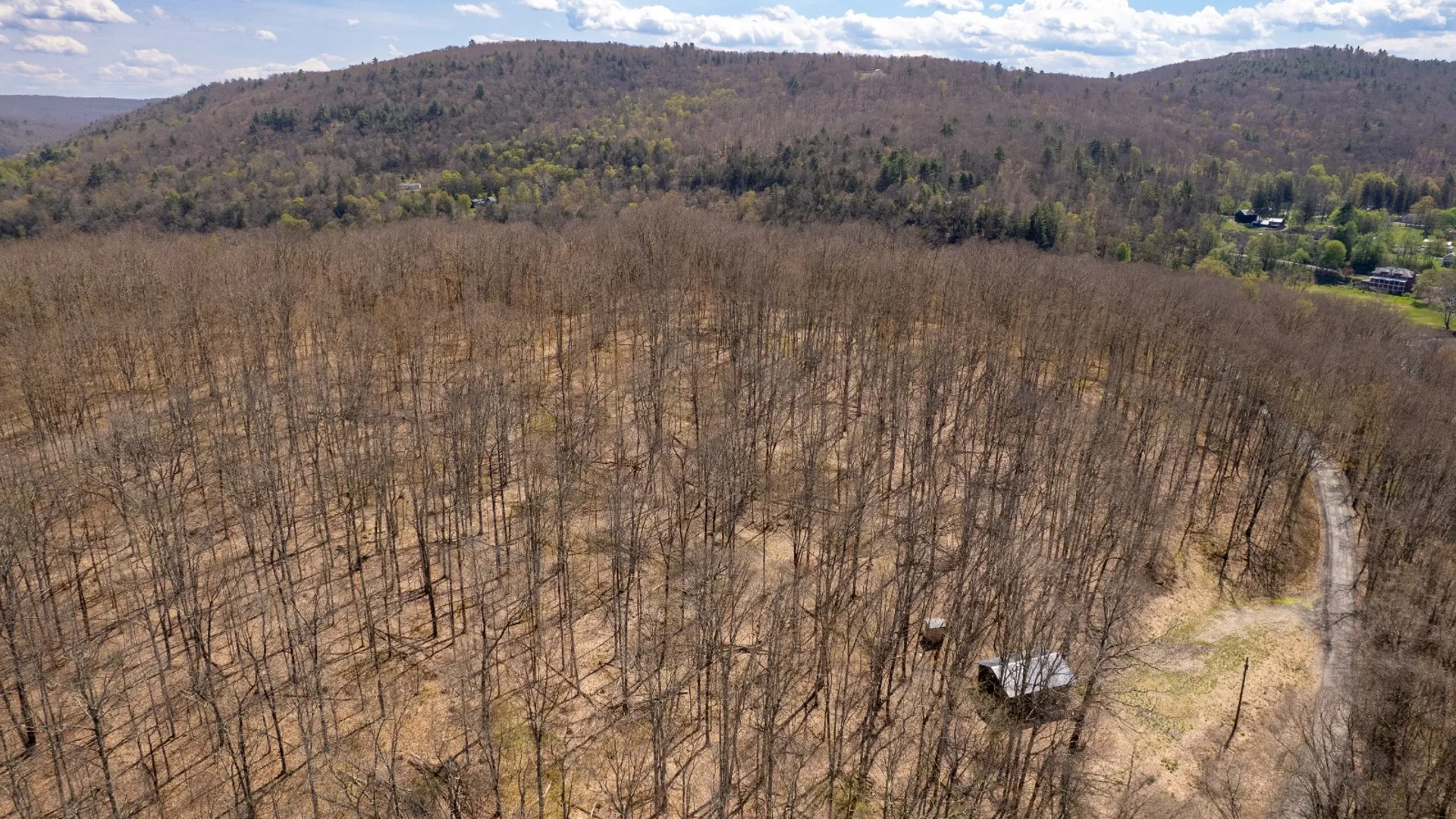 Property at 0 Warren Rd, Hancock, NY 13783 2