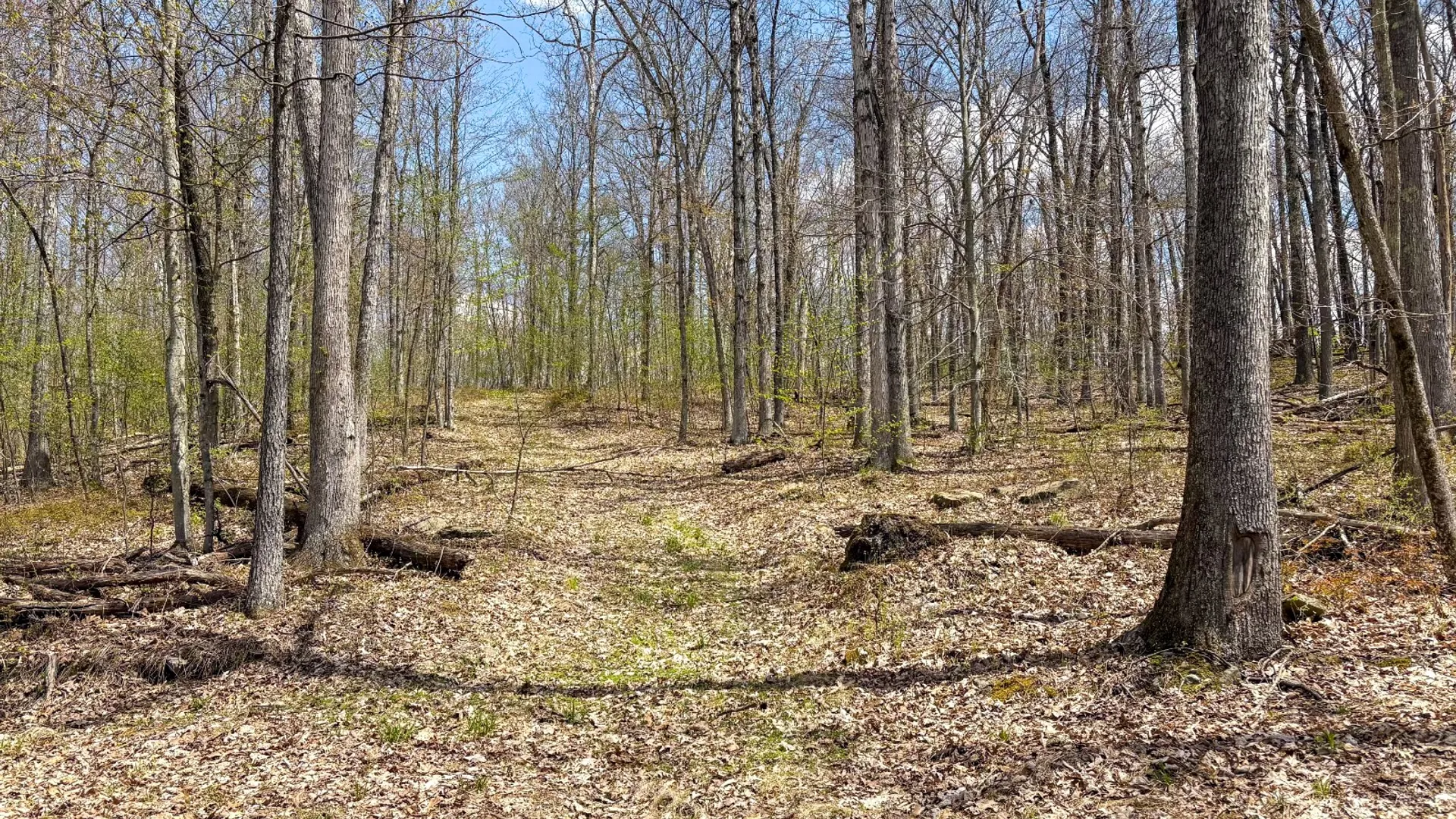 Property at 0 Warren Rd, Hancock, NY 13783 55