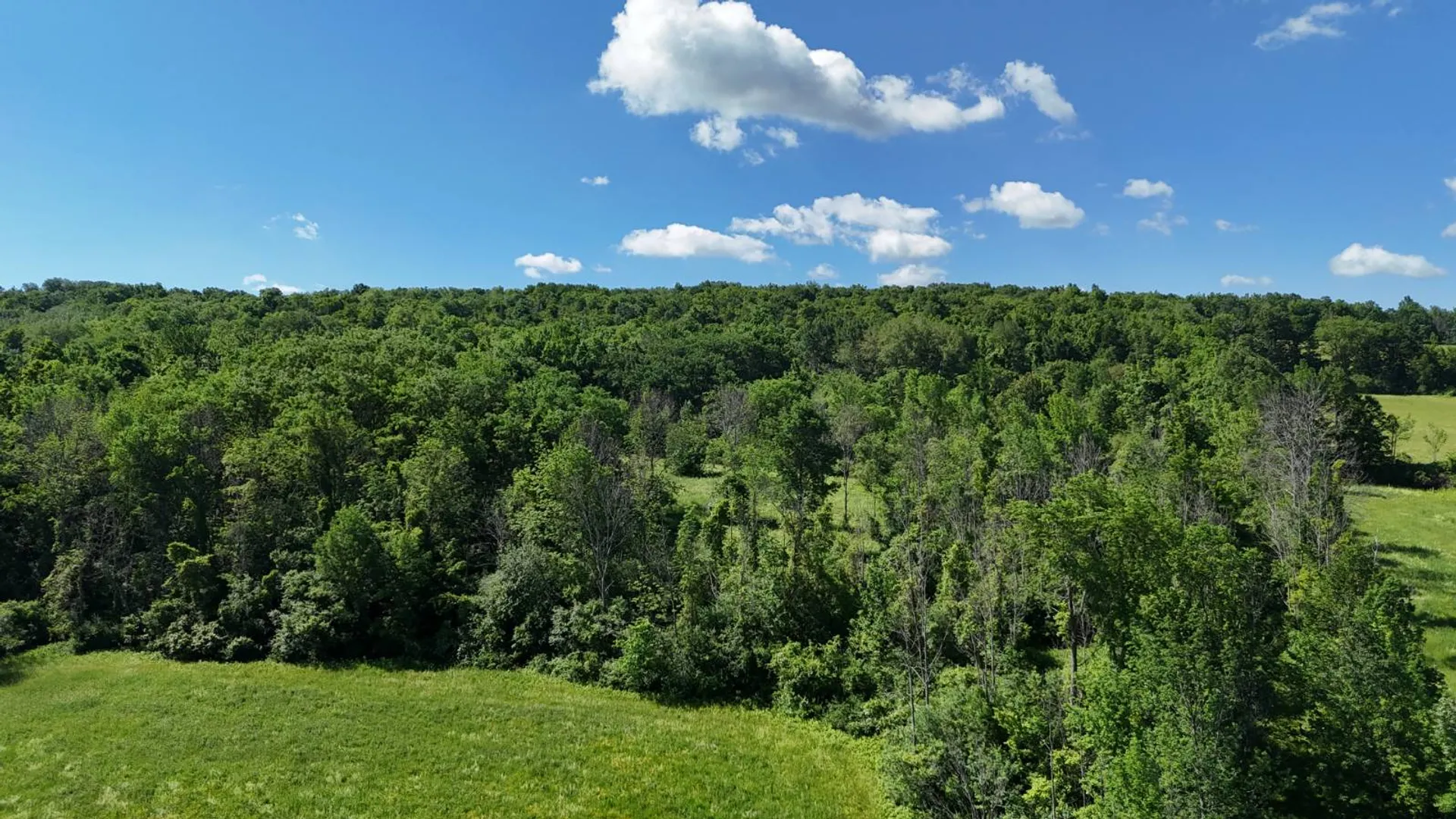 Property at 00 Woodbeck Road, Canajoharie, NY 13317 19