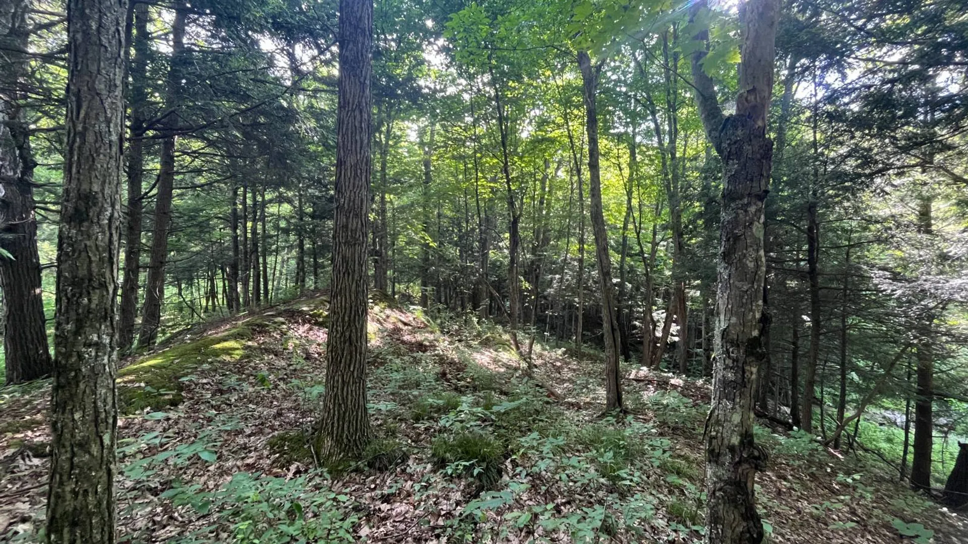 Property at 00 Eddy Pyrites Rd, Canton, NY 13617 10