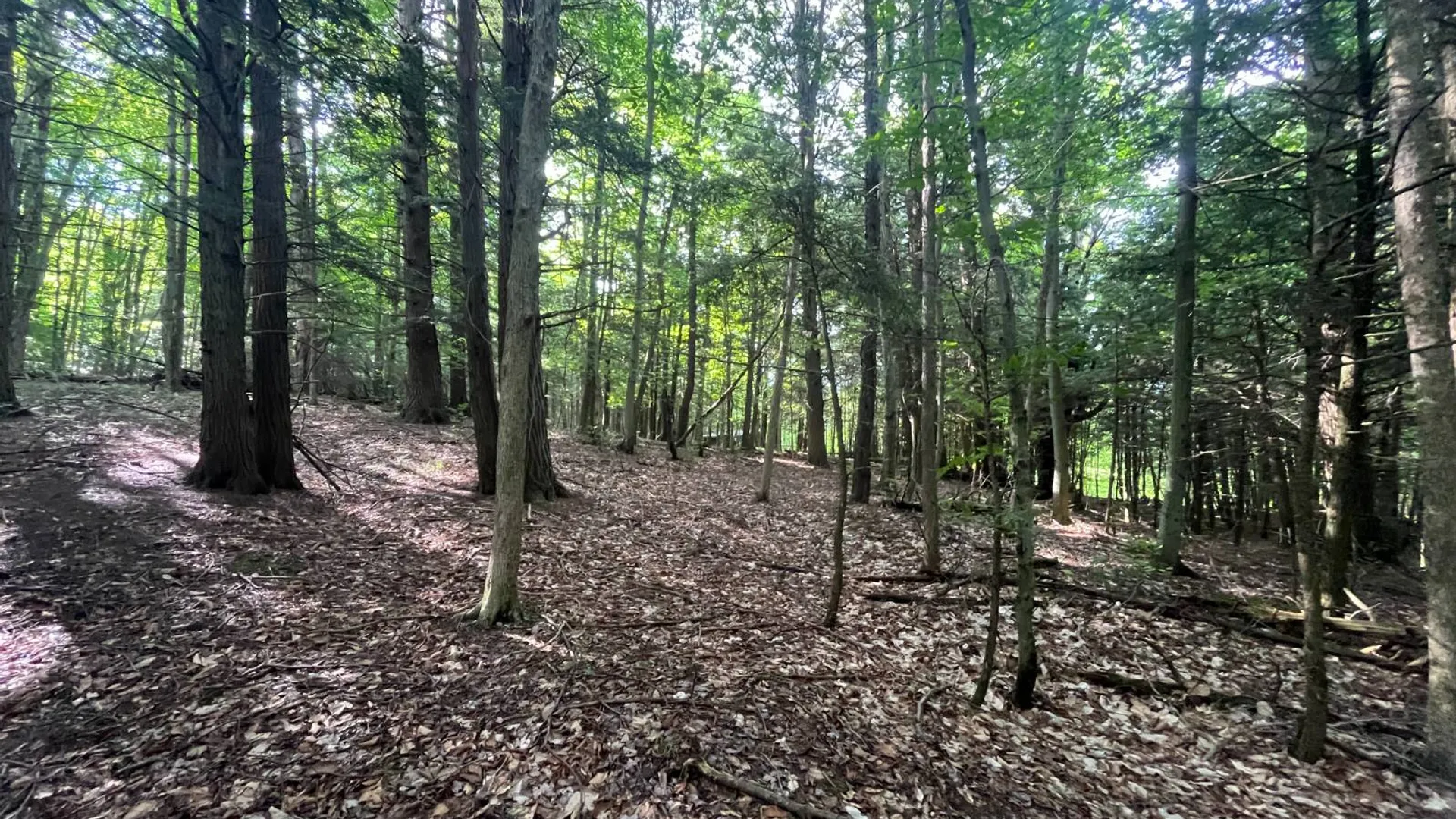 Property at 00 Eddy Pyrites Rd, Canton, NY 13617 11