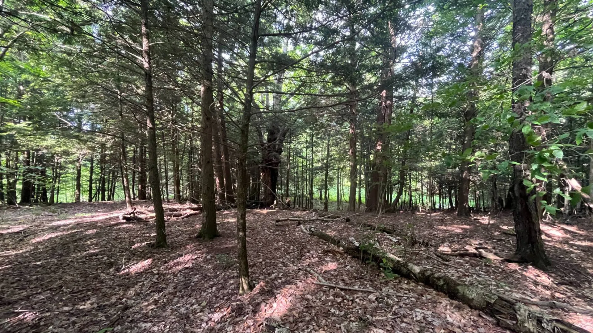 Property at 00 Eddy Pyrites Rd, Canton, NY 13617 12