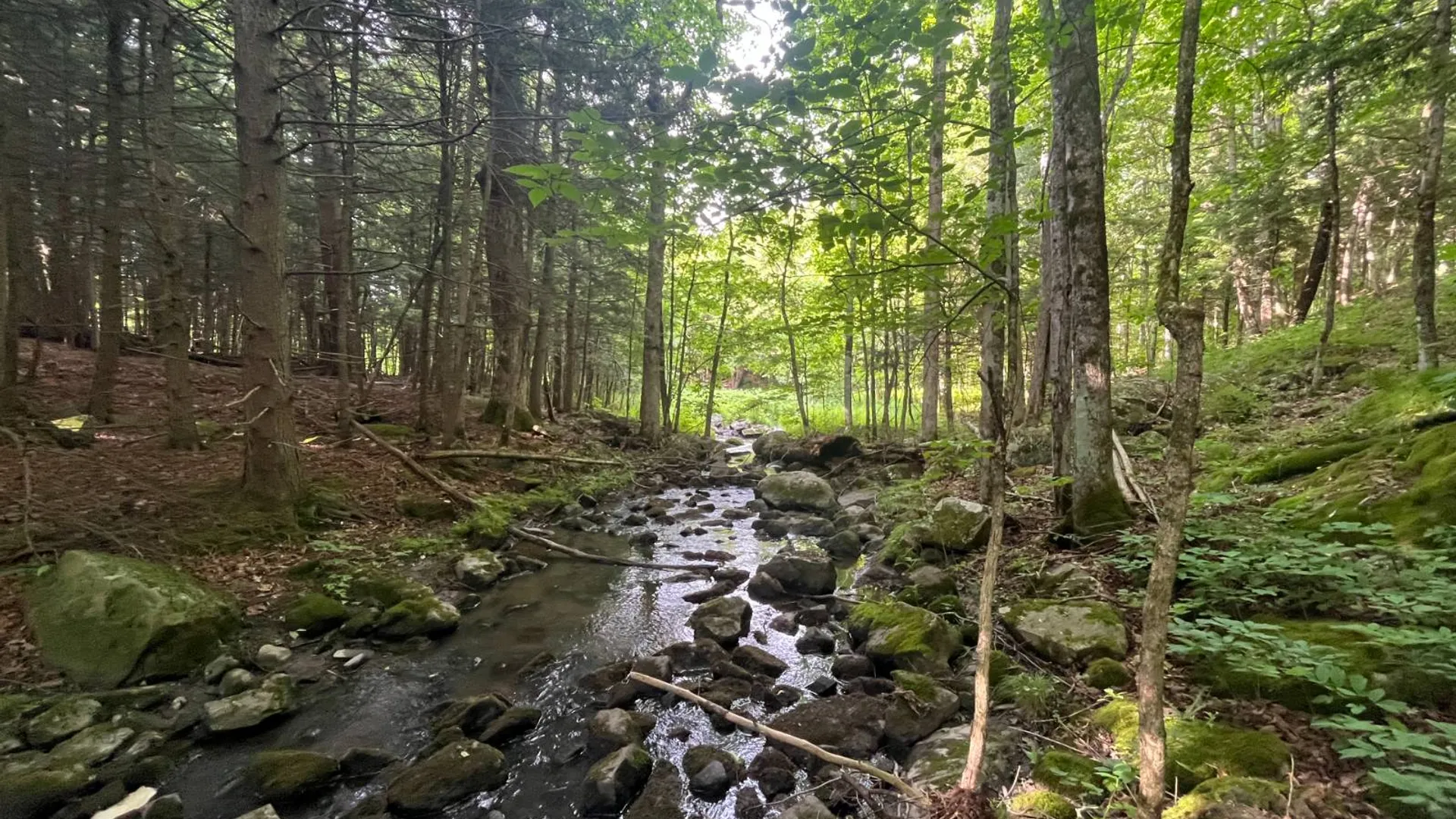 Property at 00 Eddy Pyrites Rd, Canton, NY 13617 13