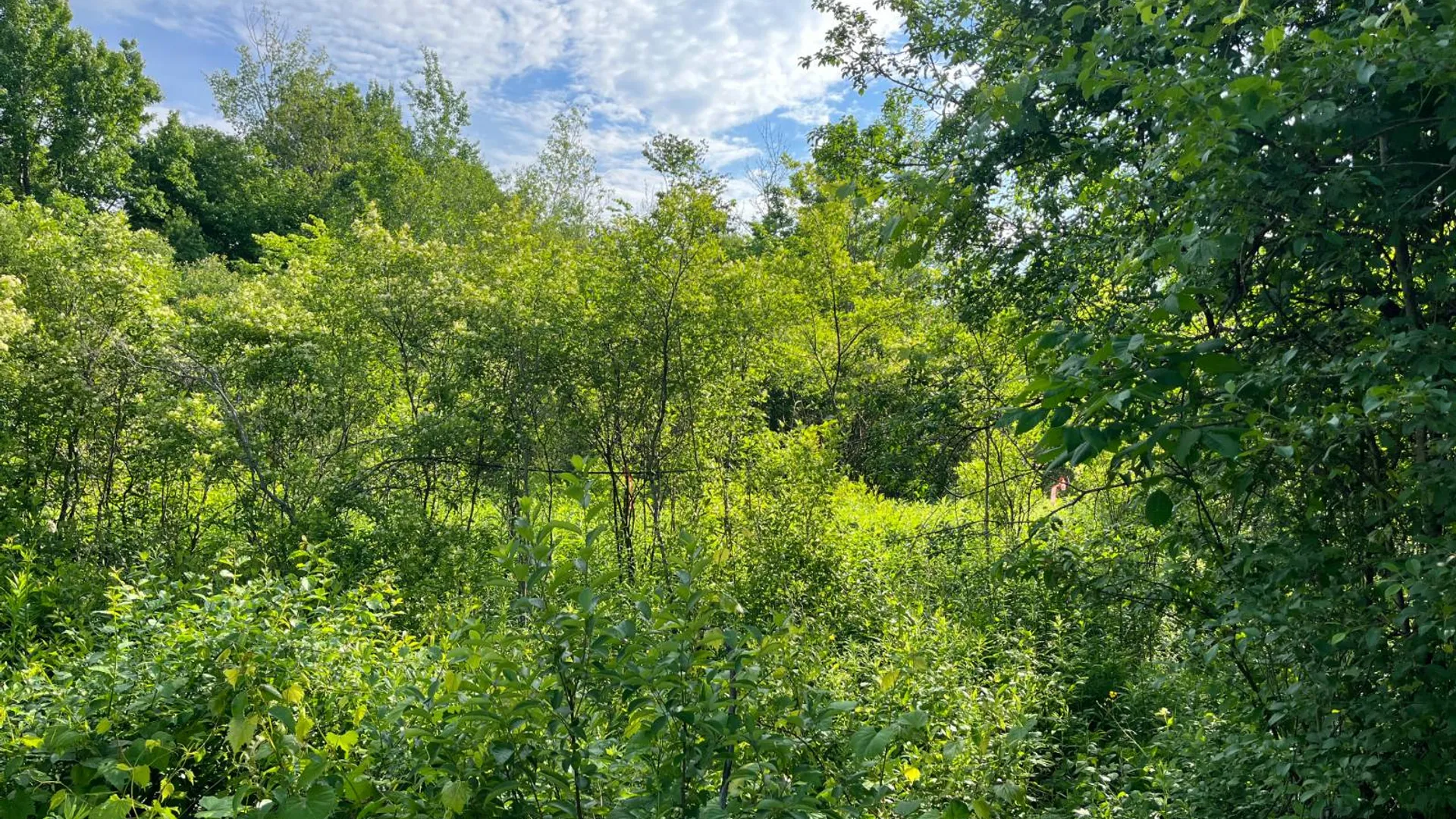Property at 00 Eddy Pyrites Rd, Canton, NY 13617 16