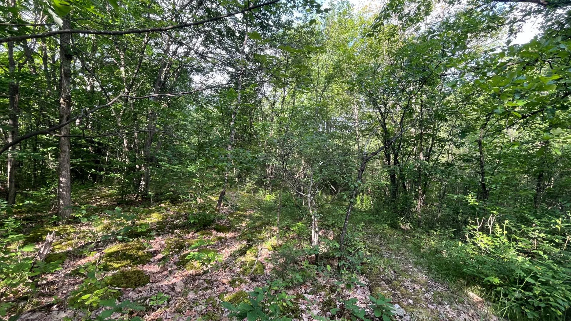Property at 00 Eddy Pyrites Rd, Canton, NY 13617 17