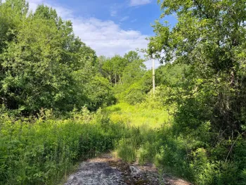 Property at 00 Eddy Pyrites Rd, Canton, NY 13617