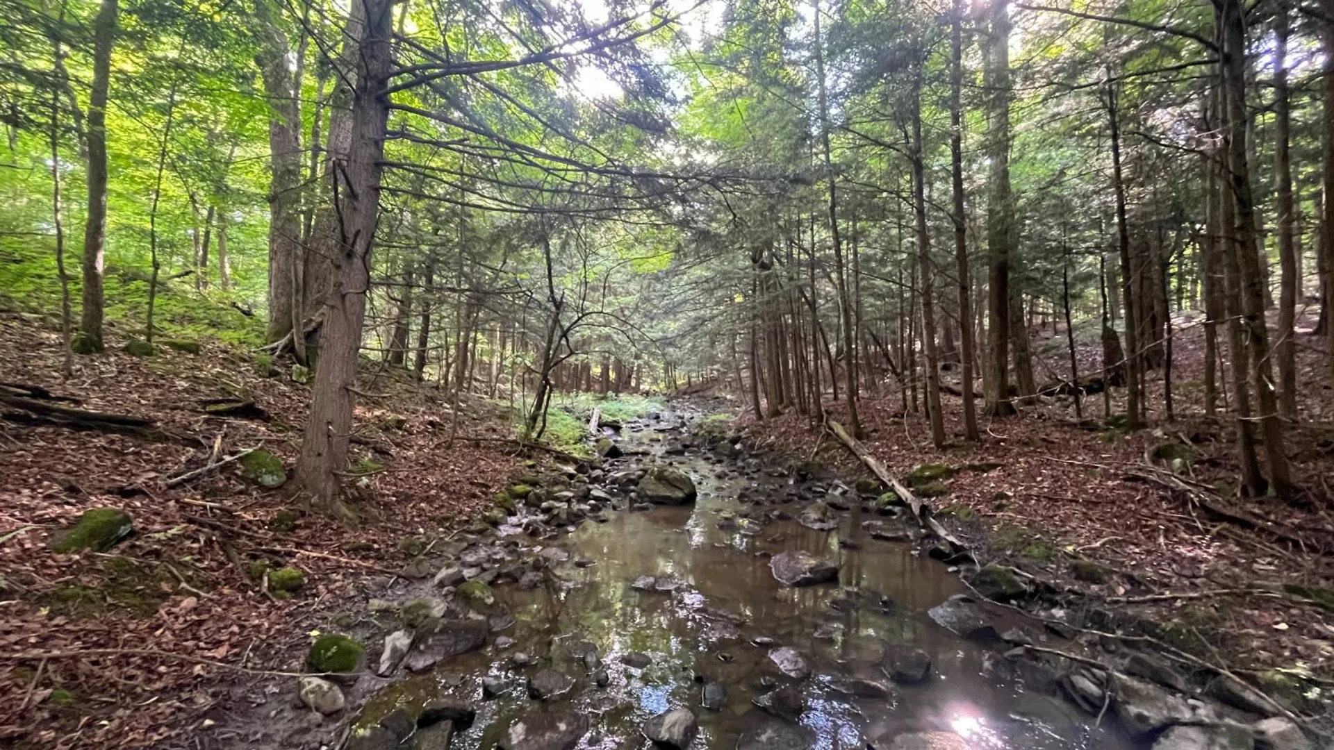 Property at 00 Eddy Pyrites Rd, Canton, NY 13617 2