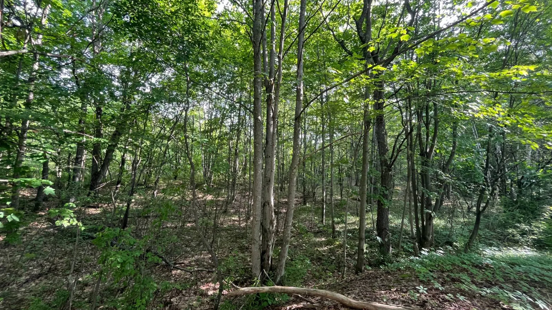 Property at 00 Eddy Pyrites Rd, Canton, NY 13617 5