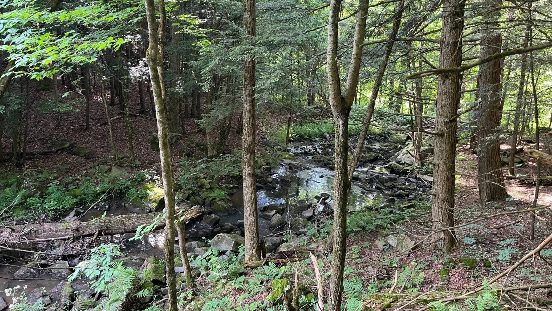 Property at 00 Eddy Pyrites Rd, Canton, NY 13617 7