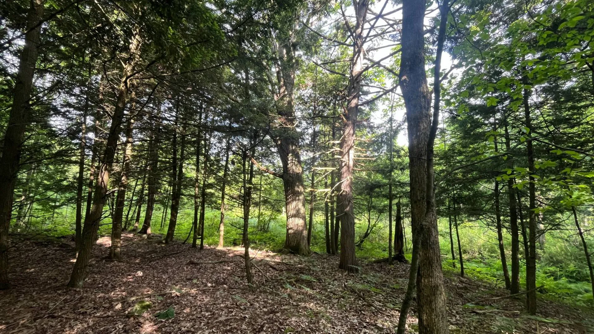 Property at 00 Eddy Pyrites Rd, Canton, NY 13617 9