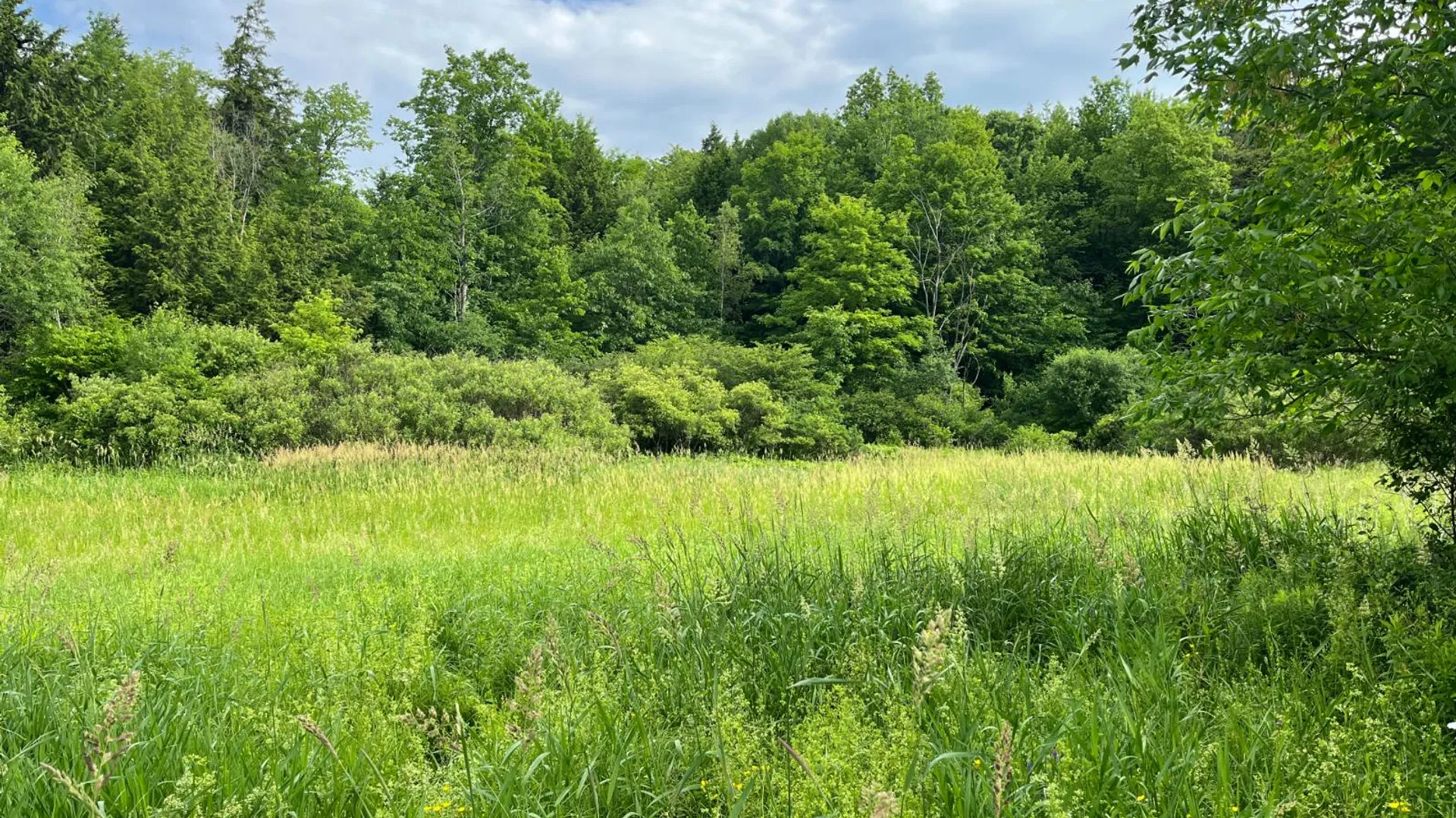 Property at 00 Eddy Pyrites Rd, Canton, NY 13617 11