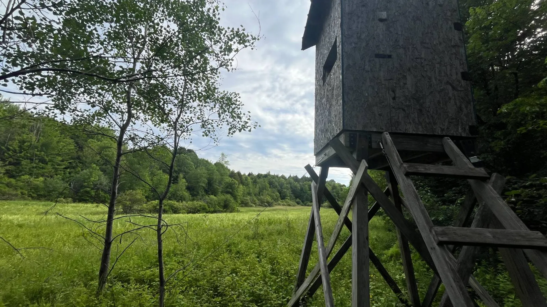 Property at 00 Eddy Pyrites Rd, Canton, NY 13617 12