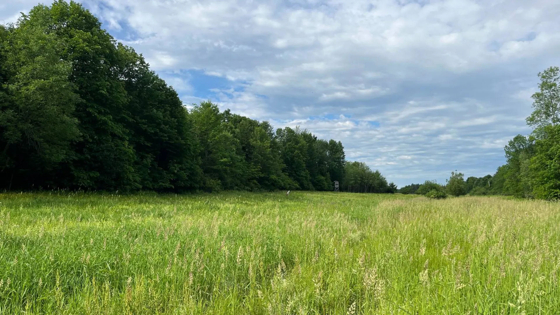 Property at 00 Eddy Pyrites Rd, Canton, NY 13617 13