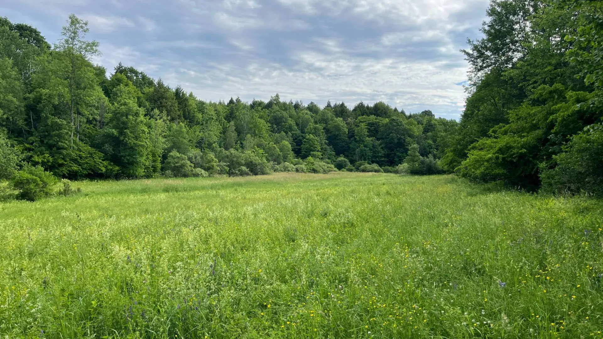 Property at 00 Eddy Pyrites Rd, Canton, NY 13617 14