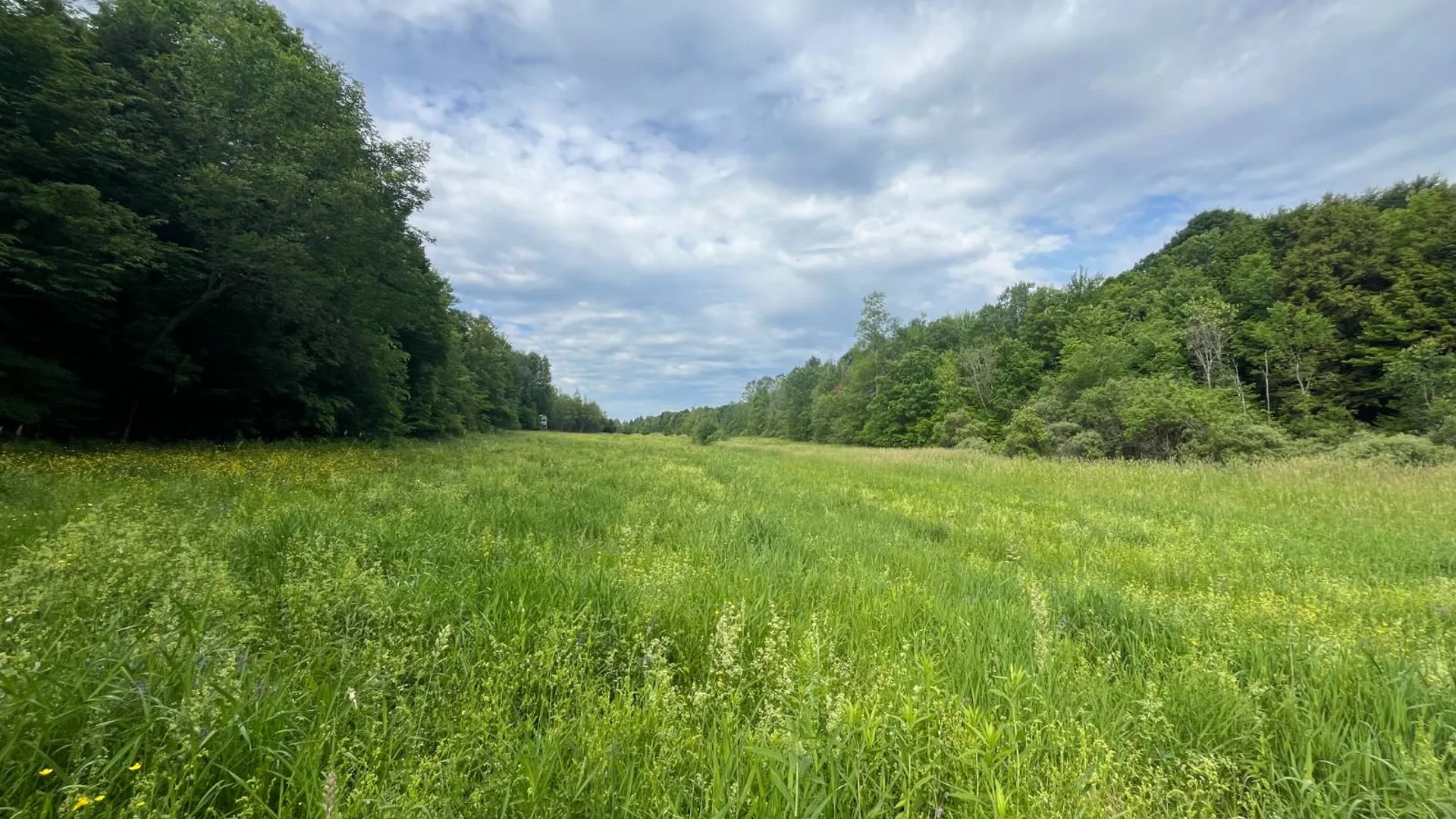 Property at 00 Eddy Pyrites Rd, Canton, NY 13617 15