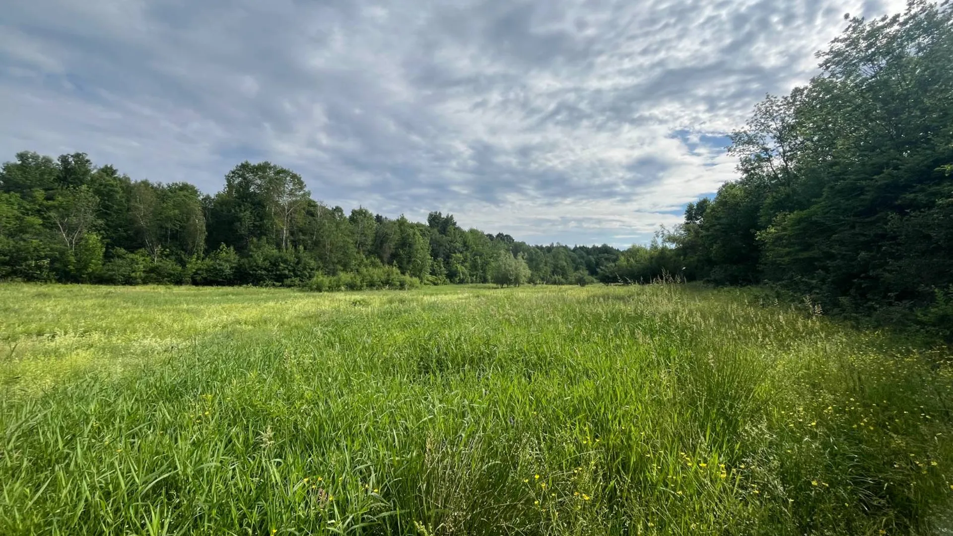 Property at 00 Eddy Pyrites Rd, Canton, NY 13617 16