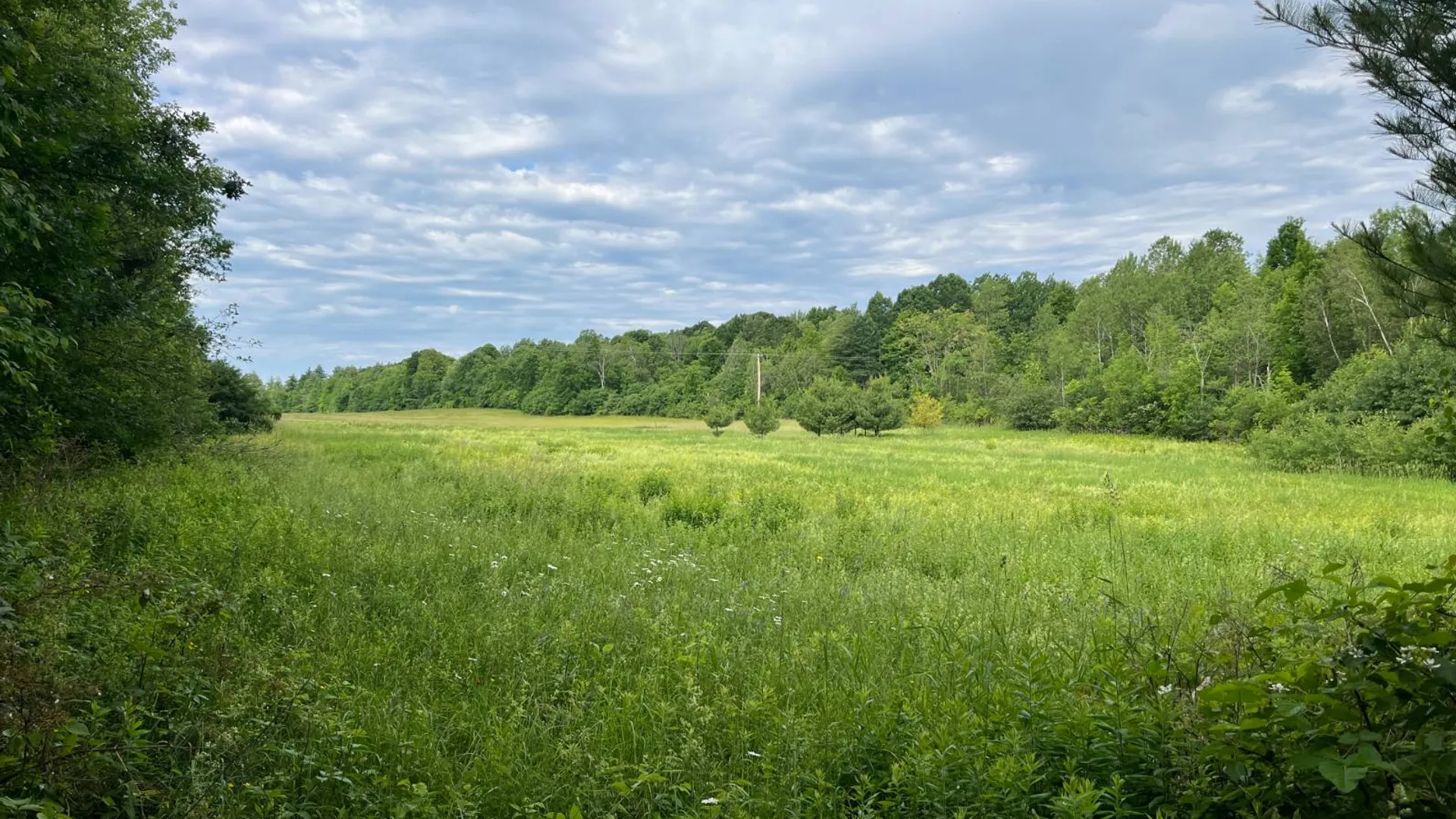 Property at 00 Eddy Pyrites Rd, Canton, NY 13617 17