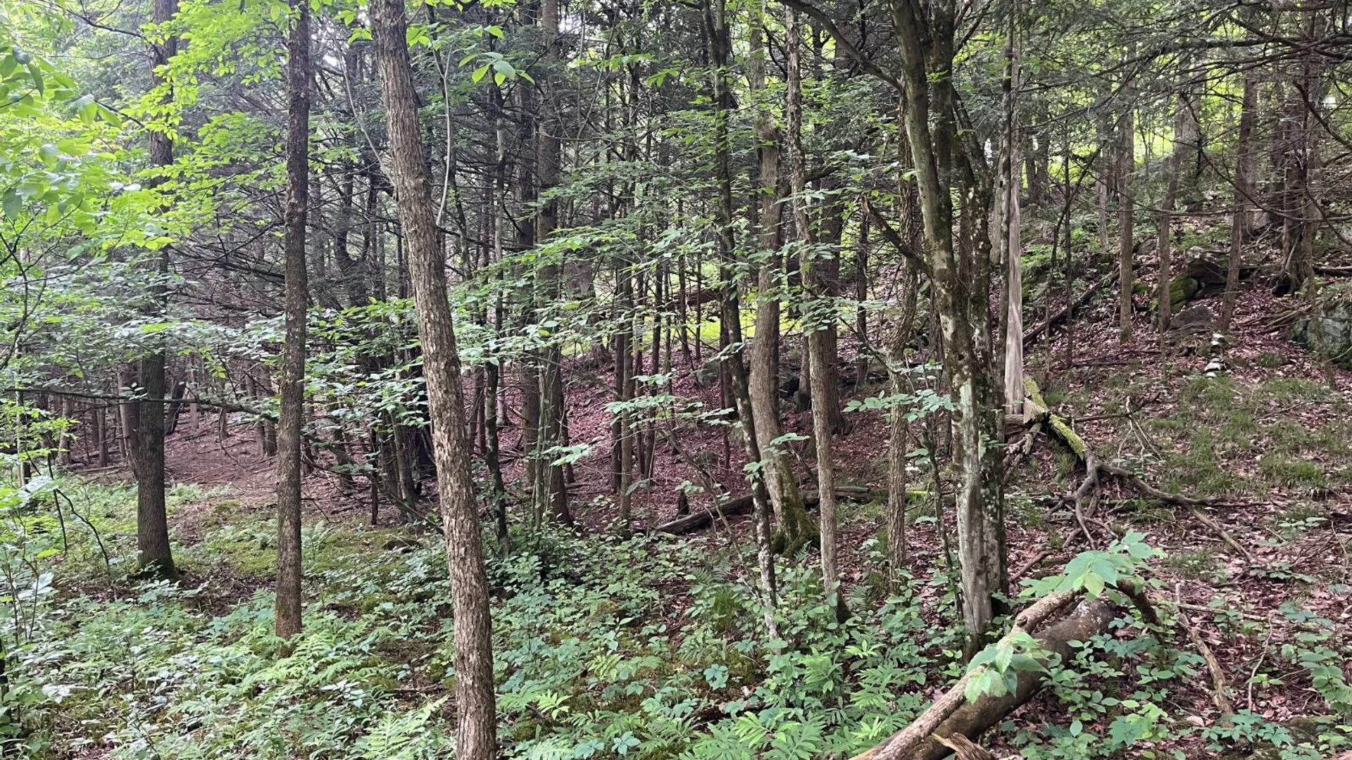 Property at 00 Eddy Pyrites Rd, Canton, NY 13617 18