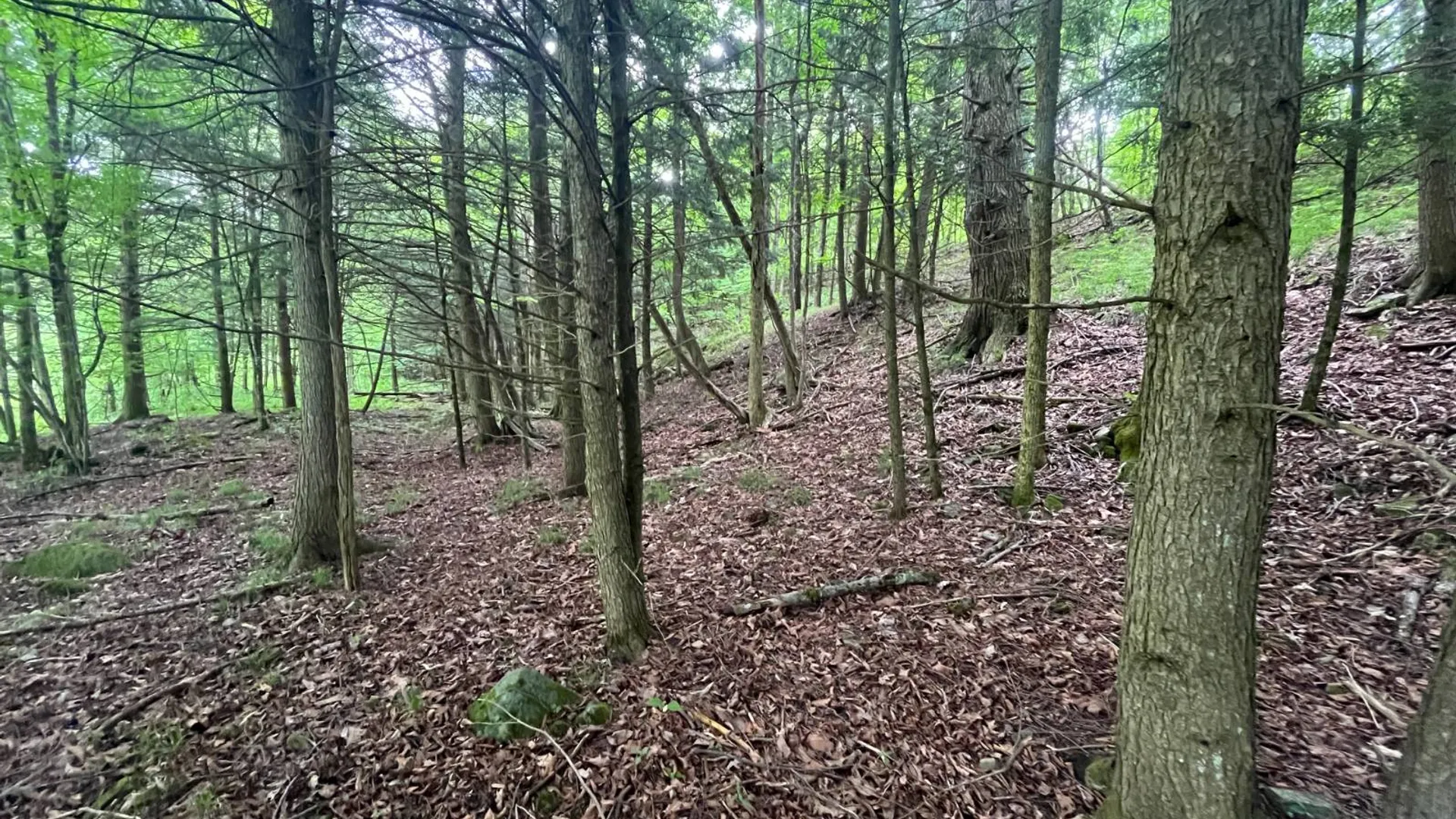 Property at 00 Eddy Pyrites Rd, Canton, NY 13617 19