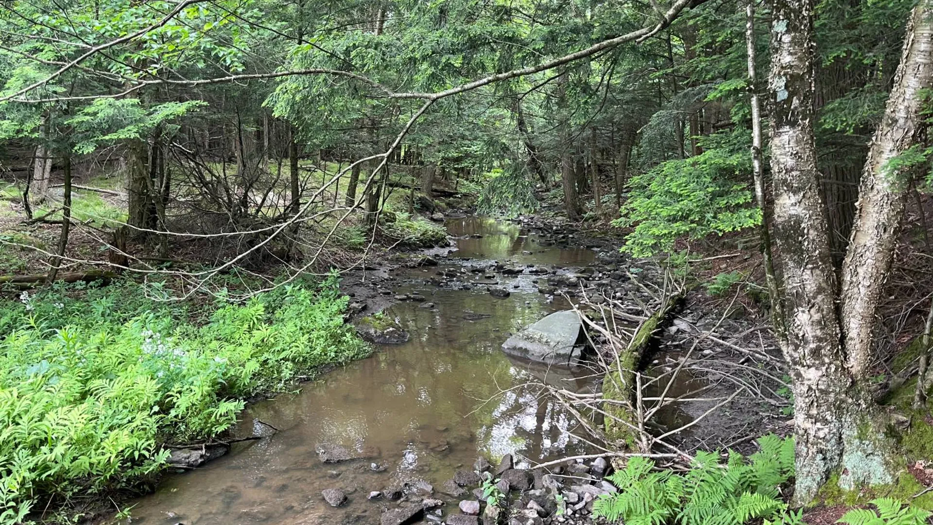 Property at 00 Eddy Pyrites Rd, Canton, NY 13617 2