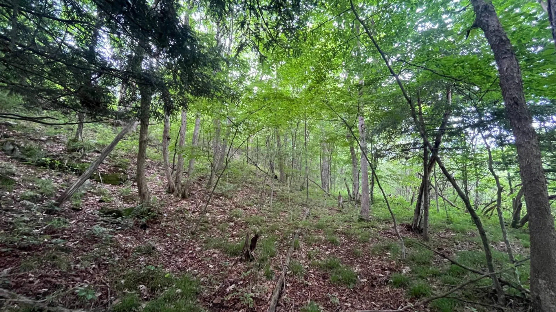 Property at 00 Eddy Pyrites Rd, Canton, NY 13617 20