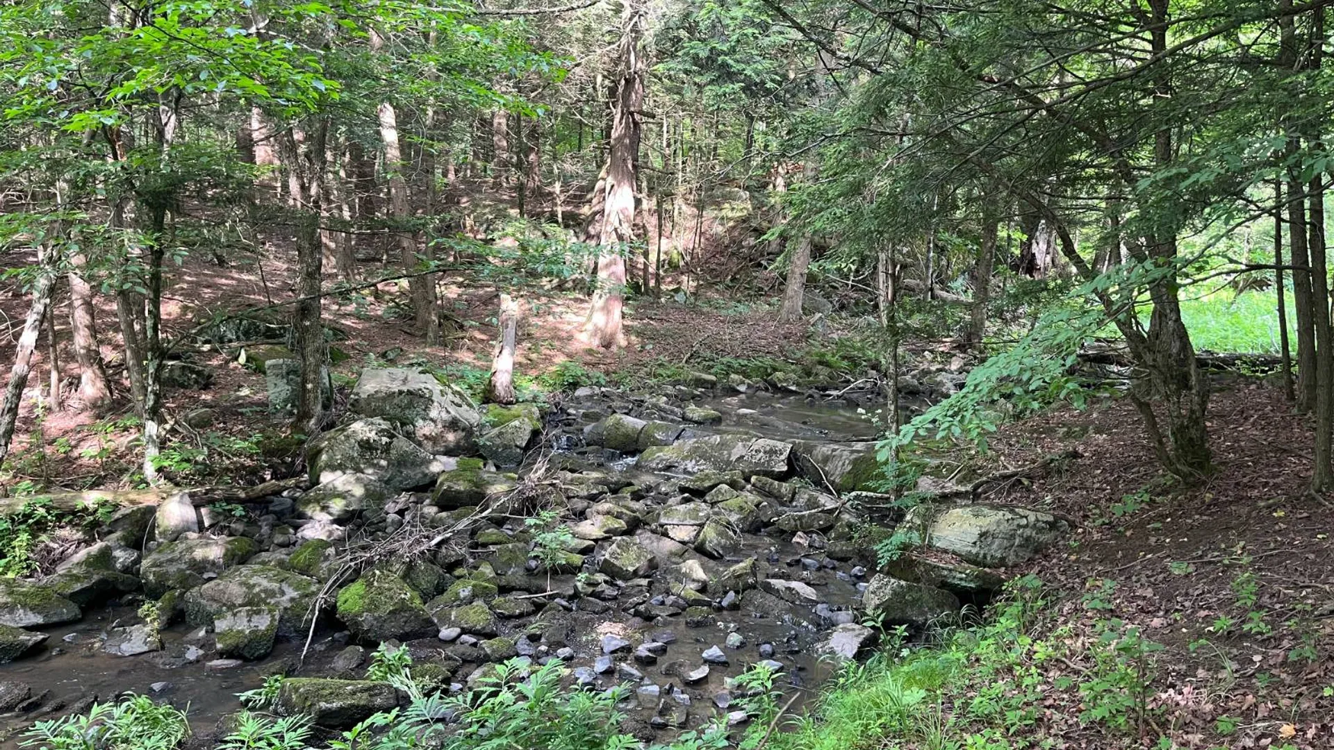 Property at 00 Eddy Pyrites Rd, Canton, NY 13617 3