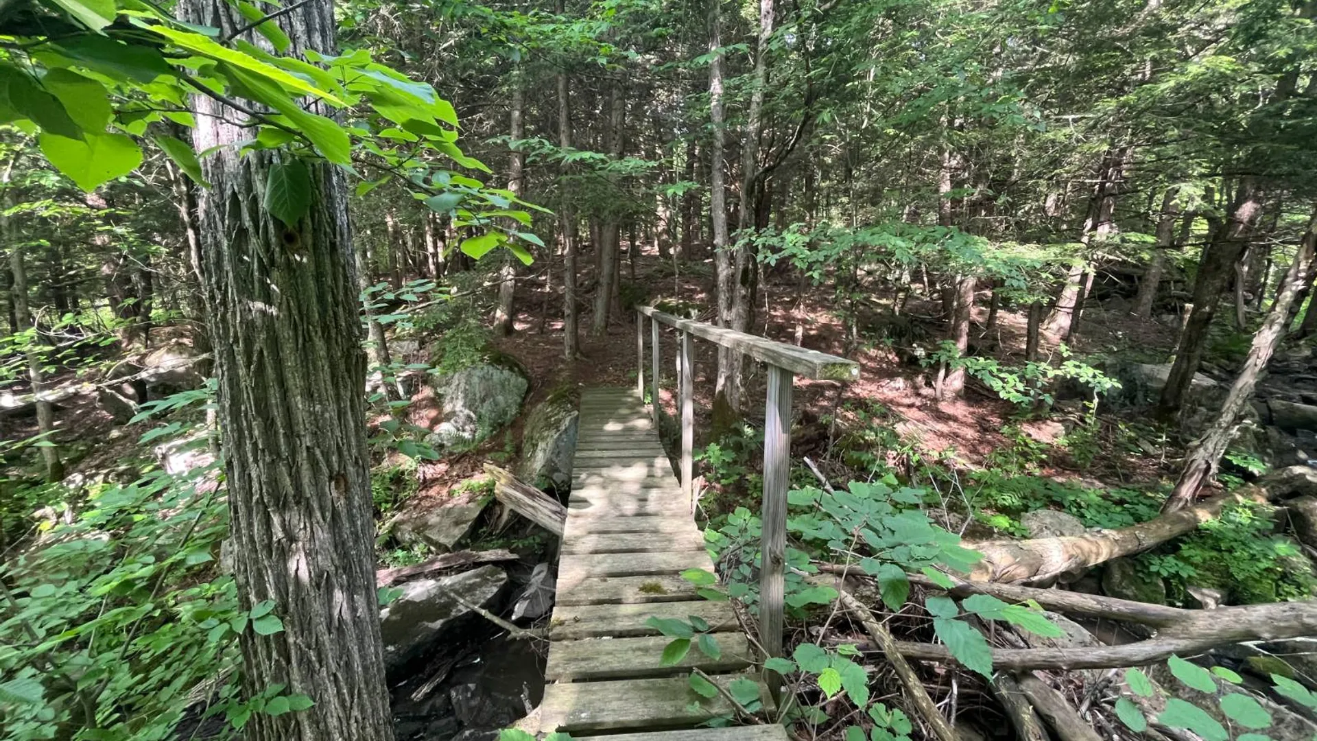 Property at 00 Eddy Pyrites Rd, Canton, NY 13617 5