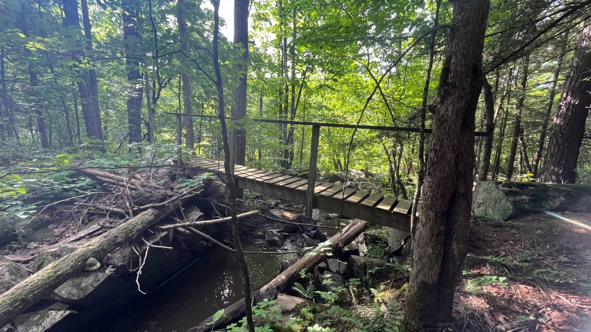 Property at 00 Eddy Pyrites Rd, Canton, NY 13617 6