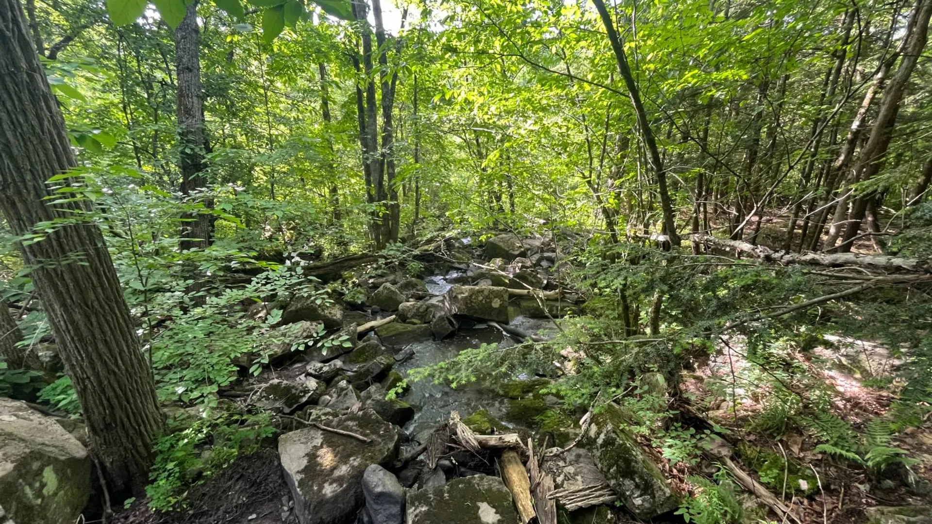 Property at 00 Eddy Pyrites Rd, Canton, NY 13617 7