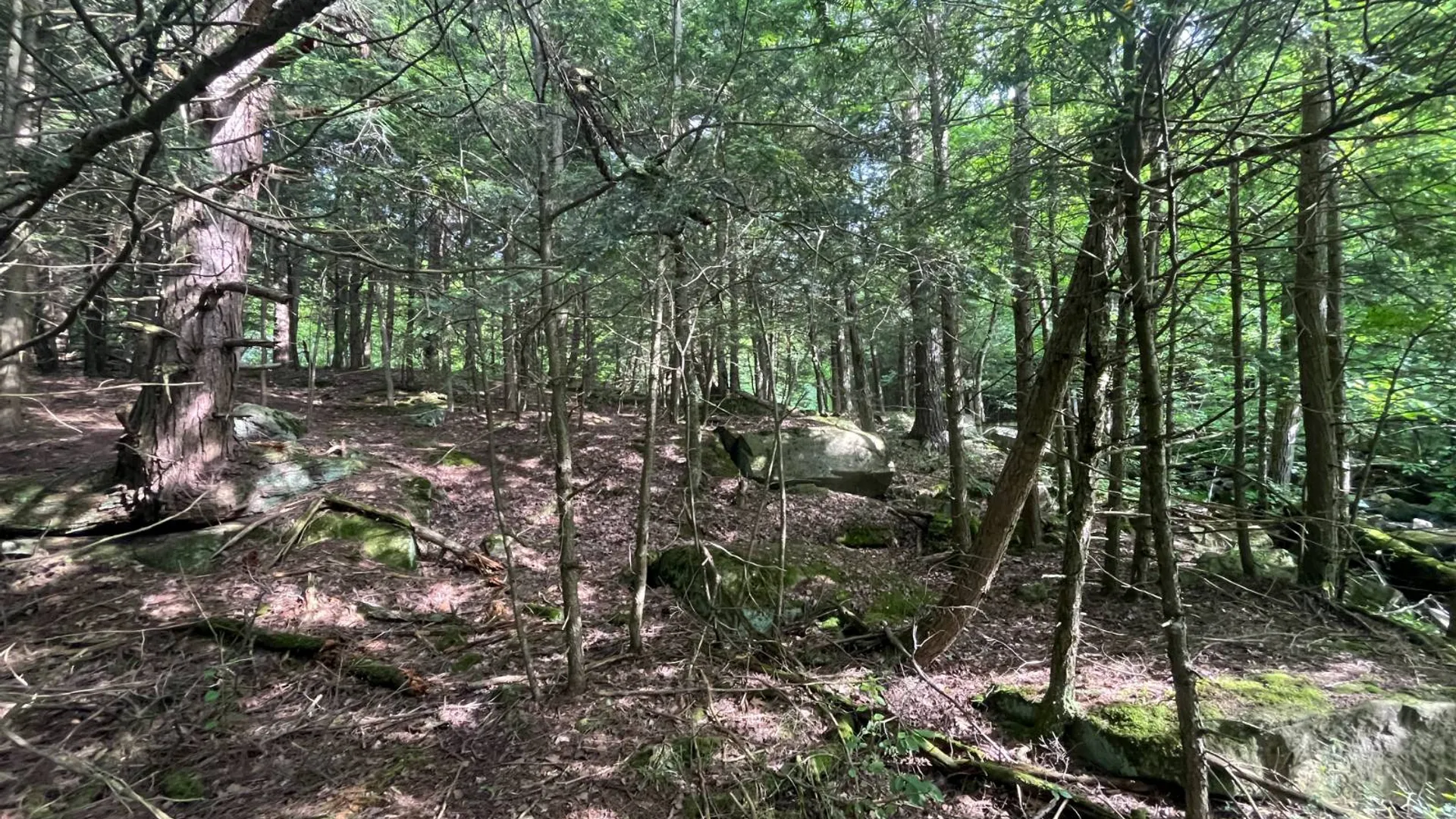 Property at 00 Eddy Pyrites Rd, Canton, NY 13617 8