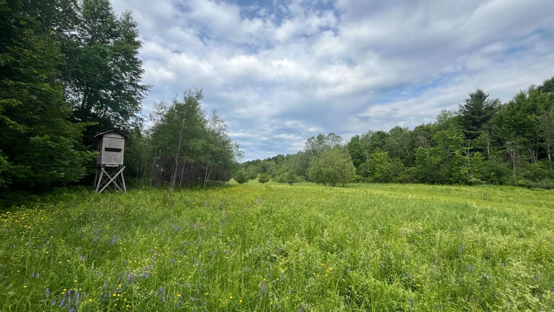 Property at 00 Eddy Pyrites Rd, Canton, NY 13617 9