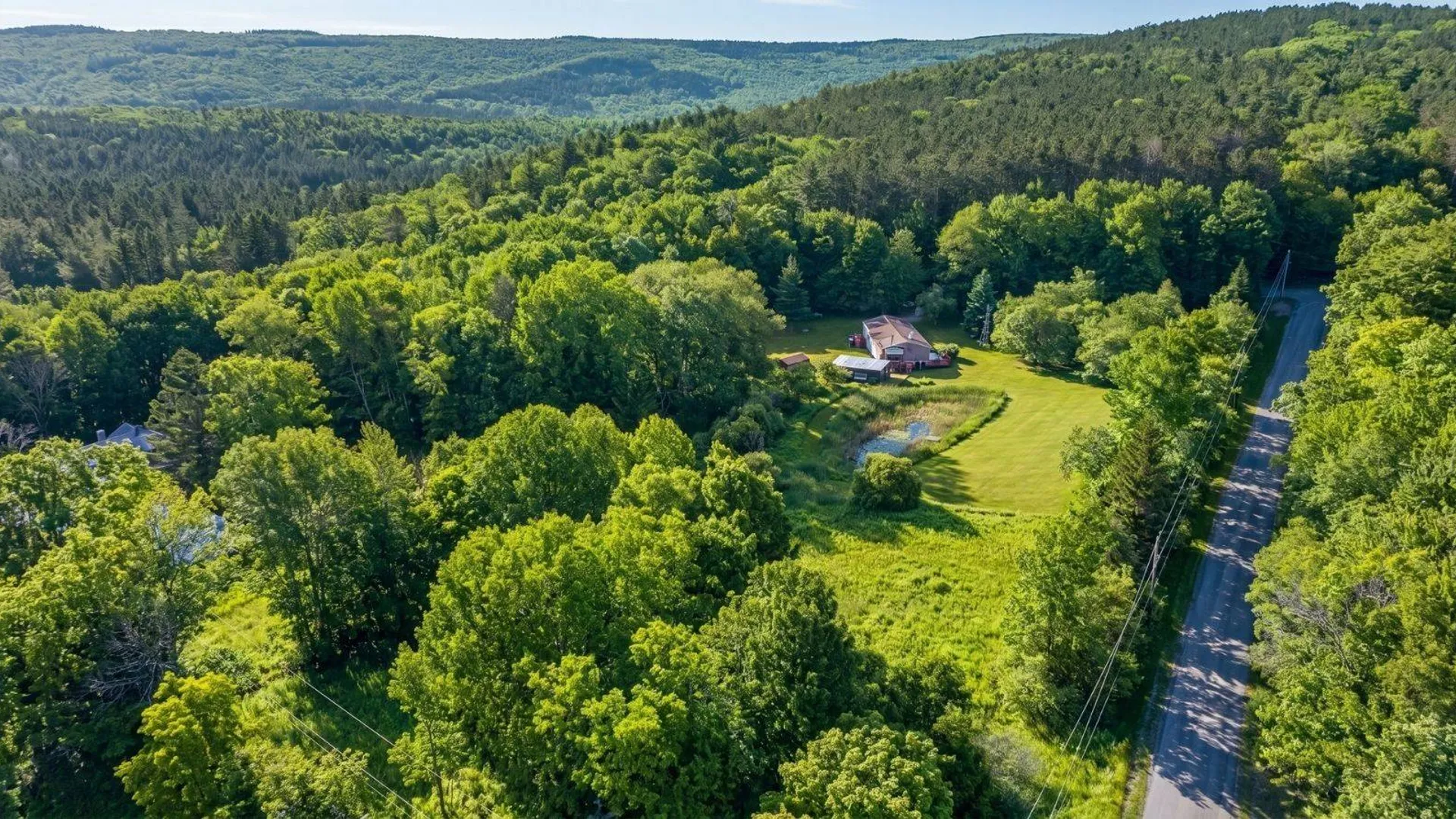 Property at 171 Rossman Hill Rd, Summit, NY 12175 52