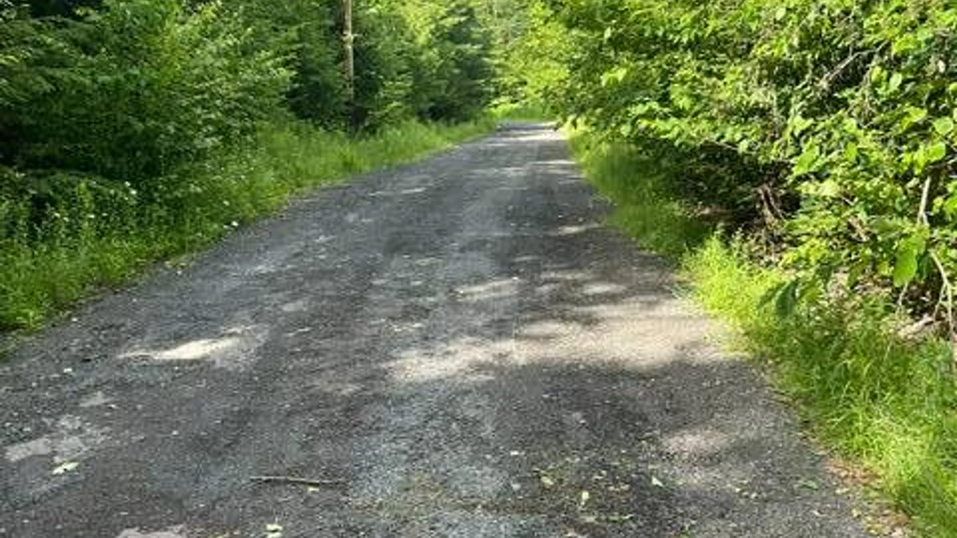 Property at 36 Mount Eden Estates, Lexington, NY 12468 2