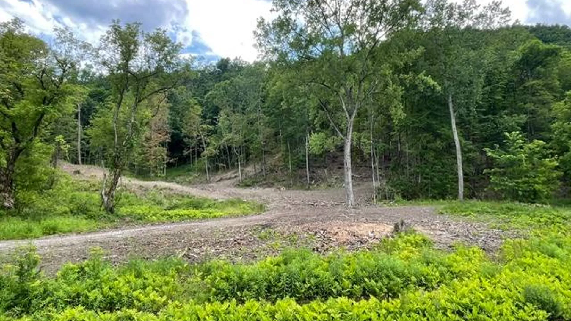 Property at 20419 State Route 22, Petersburg, NY 12138 10